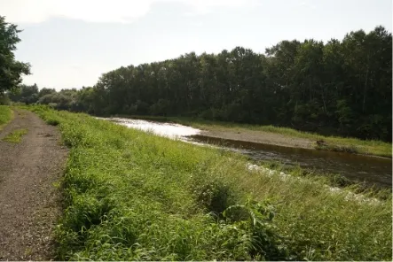 遊休地・空き地の画像