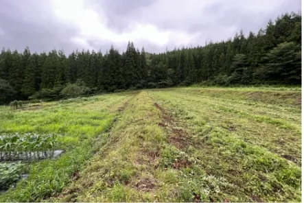 遊休地・空き地の画像