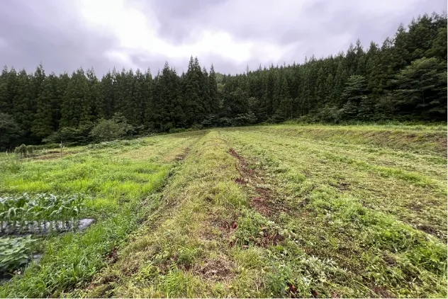 遊休地before画像