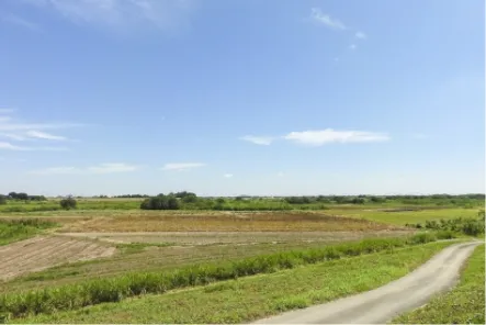 遊休地・空き地の画像