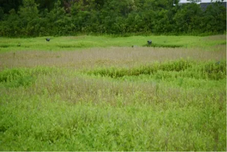 遊休地・空き地の画像
