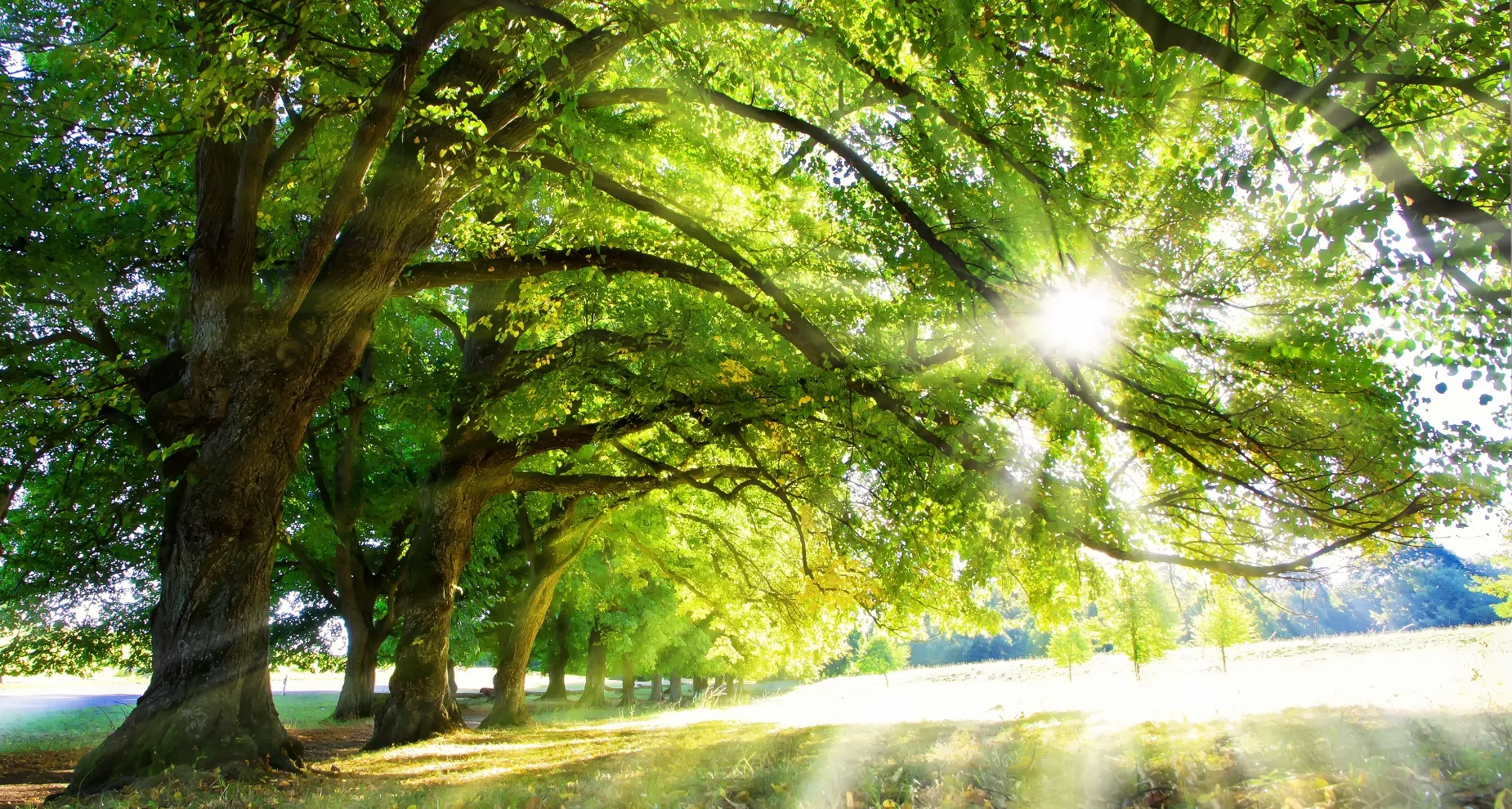 メインビジュアル画像