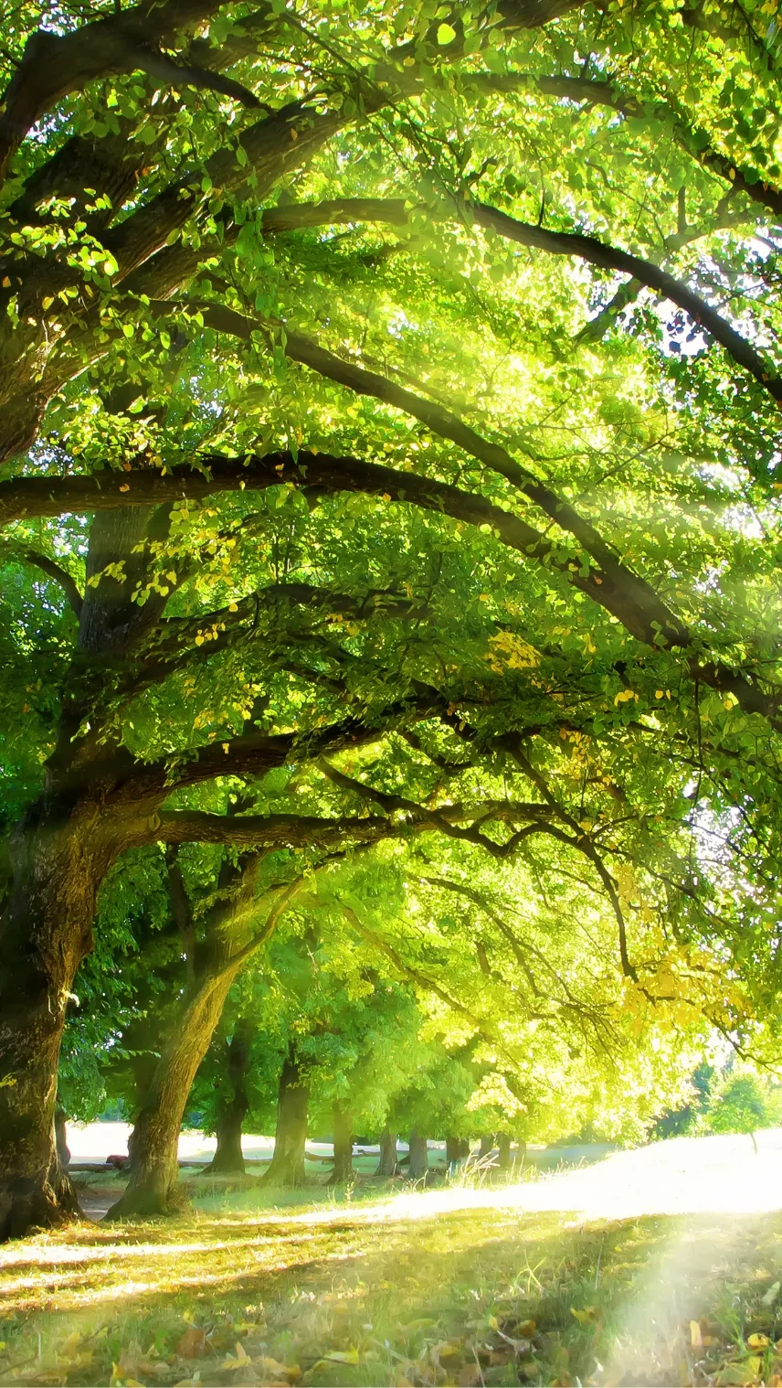 メインビジュアル画像