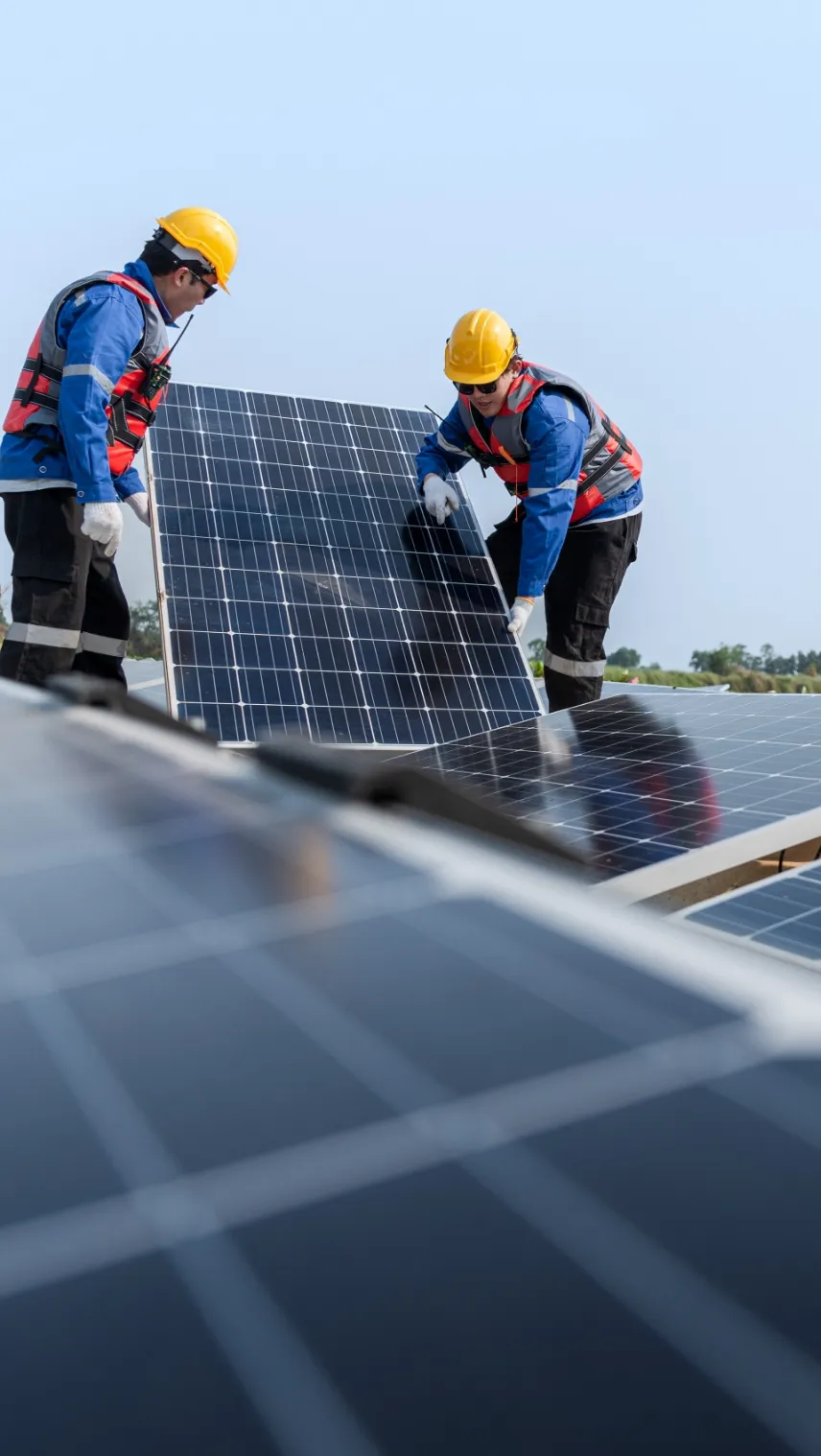 メインビジュアル画像