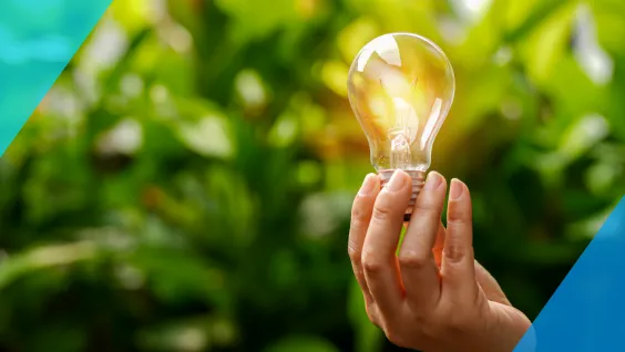 市場規模と成⻑性