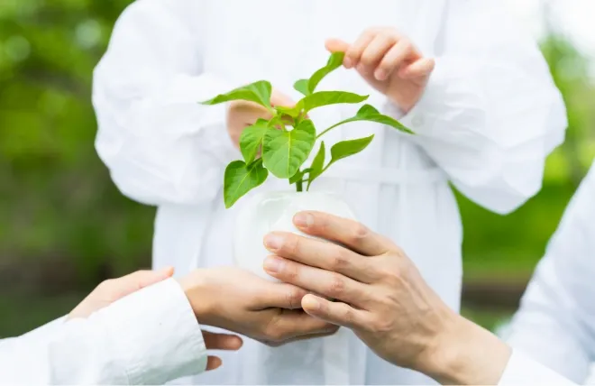 変化の波 エネルギー問題と社会の転換点