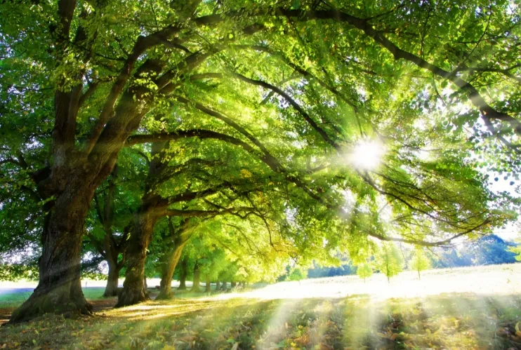 未来へ 地域から始まるエネルギー革命